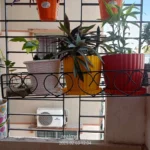 ফুলের টব স্ট্যান্ড ২ পিস - Image 2
